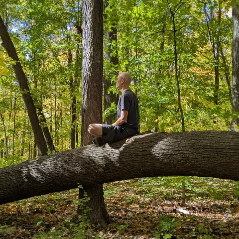 A bald man sitting cross-legged in meditation atop a large fallen tree trunk surrounded by autumn woods.