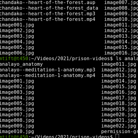 Screenshot of command line showing audio and image files