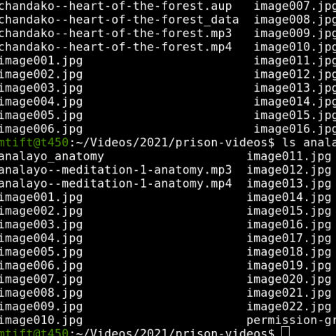 Screenshot of  command line showing audio and image files