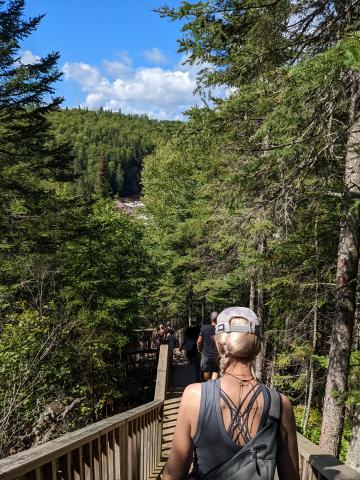 People walking down a staircase in the woods