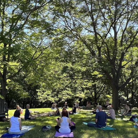 Matthew sitting under trees surrounded by people in a yoga class