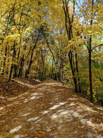 crushed limestone path with autumn leaves