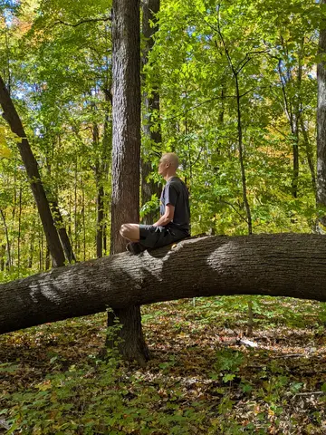 A bald man sitting cross-legged in meditation atop a large fallen tree trunk surrounded by autumn woods.