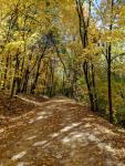 crushed limestone path with autumn leaves