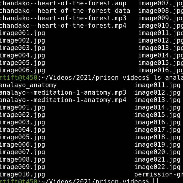 Screenshot of  command line showing audio and image files