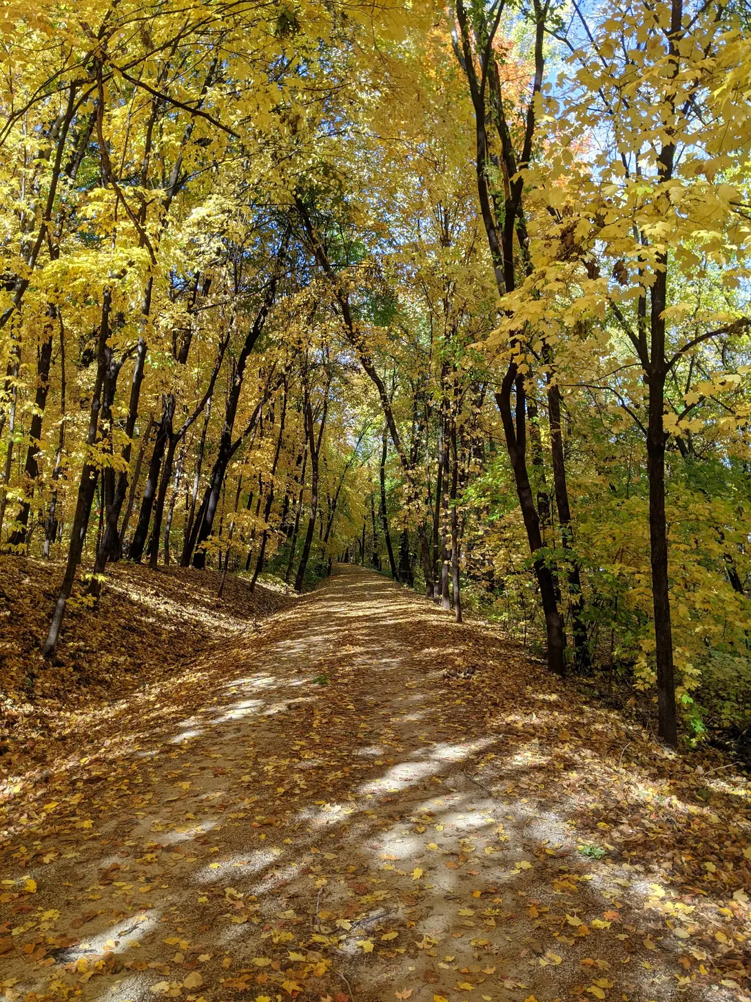 crushed limestone path with autumn leaves