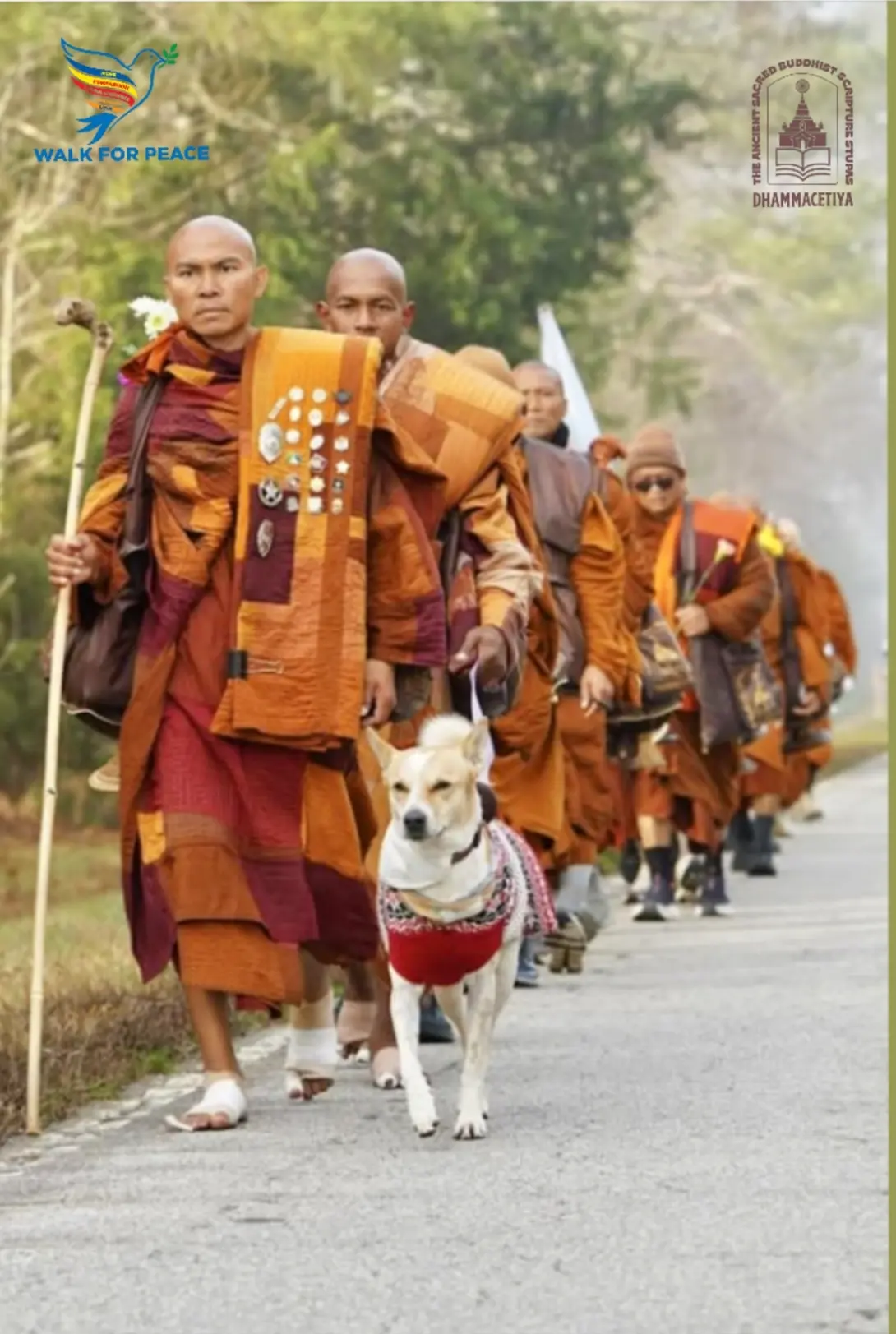 a line of monks in orange walking down a road